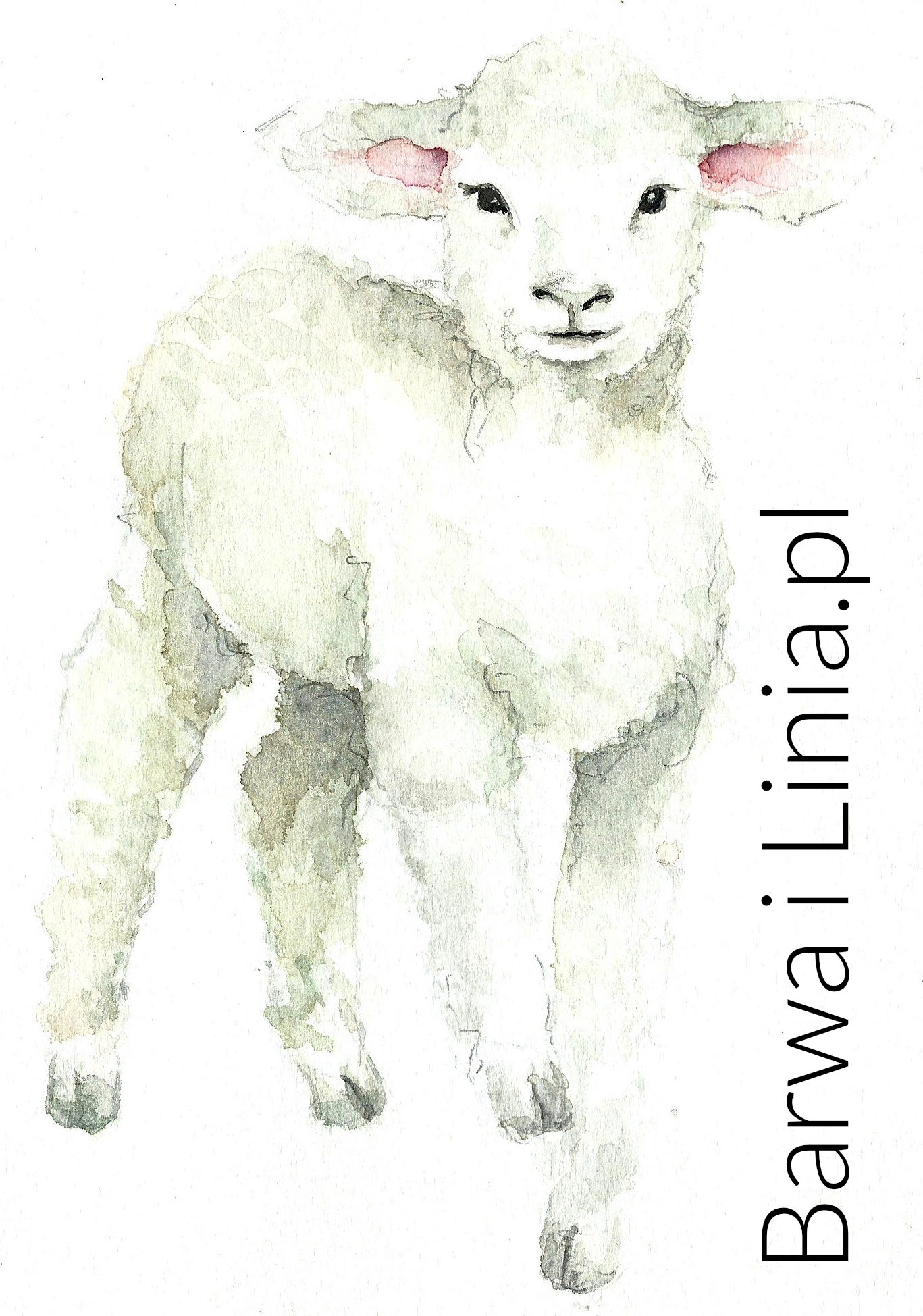 Ilustracja 15 – Akwarela