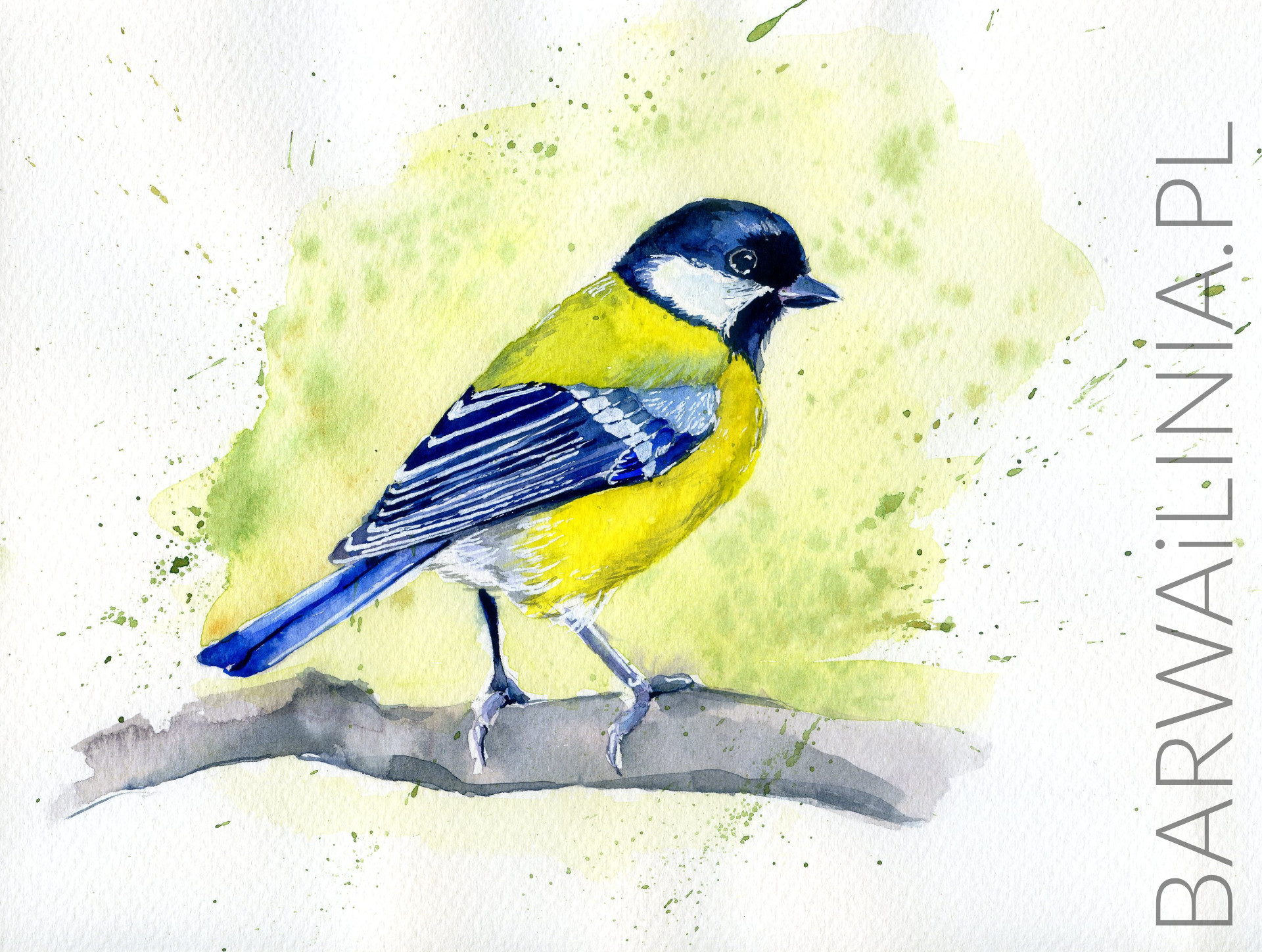 Ilustracja 19 – Akwarela